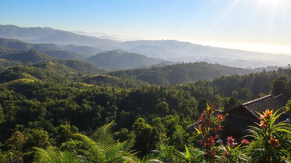 Explorez Madagascar autrement : séjours solidaires et expériences uniques